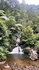 Place
