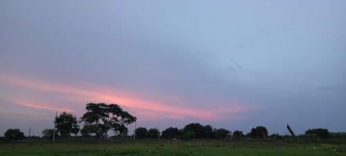 Place
