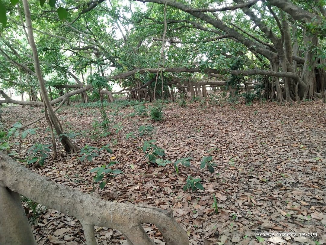 Place
